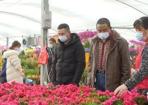 鲜花消费热潮涌动 美团外卖销售激增与产业升级并行