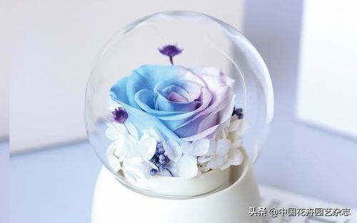 玩转时尚元素 比拼精巧创意——礼品花卉销售新趋势