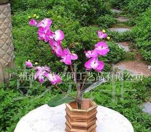 蝴蝶兰 单枝仿真花卉，点亮居家空间的雅致之选